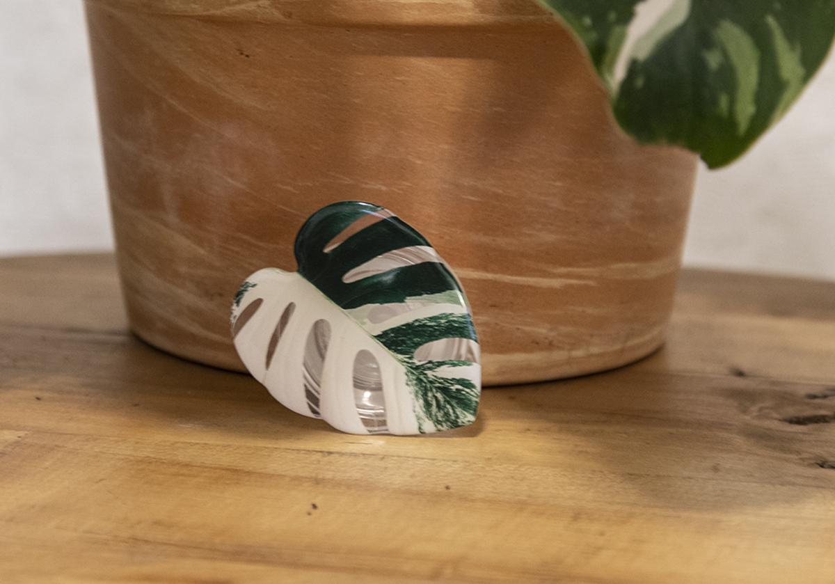 Monstera Albo Phone Grip