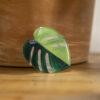 Monstera Aurea Phone Grip