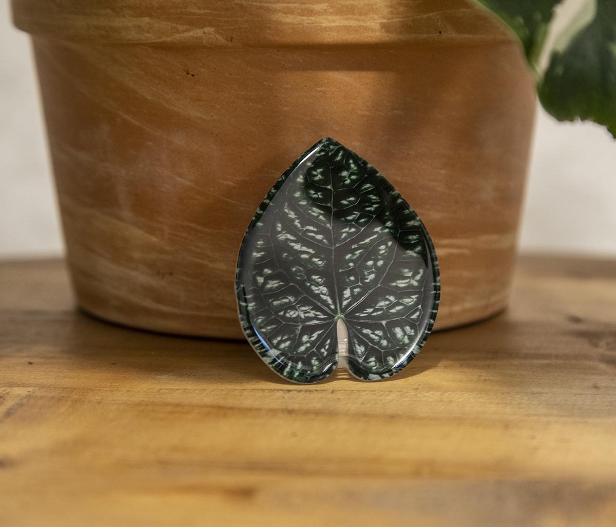 Anthurium Luxurians Phone Grip