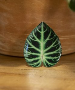Philodendron Verrucosum Phone Grip