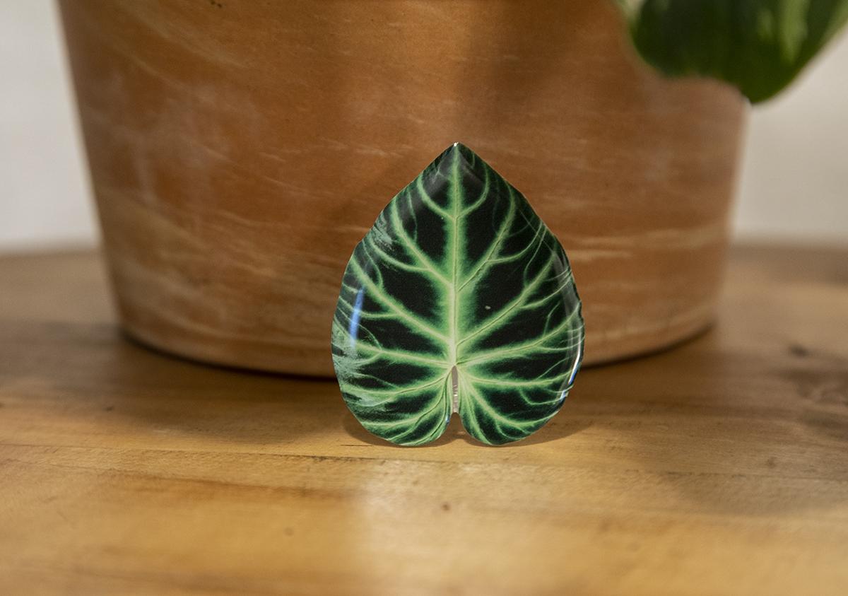 Philodendron Verrucosum Phone Grip