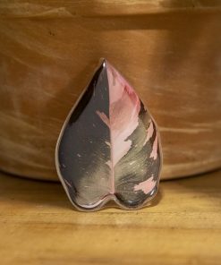 Philodendron Pink Princess Phone Grip
