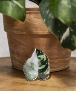 Philodendron White Princess Phone Grip